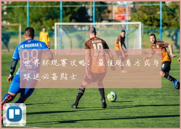 世界杯观赛攻略：最佳观看方式与球迷必备贴士