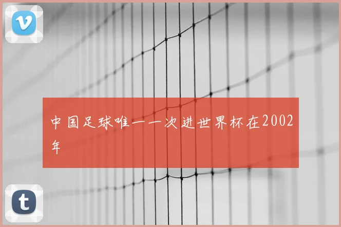 中国足球唯一一次进世界杯在2002年