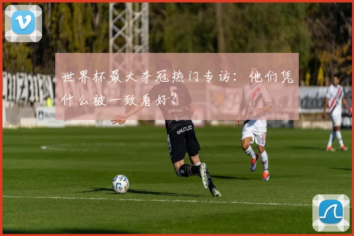 世界杯最大夺冠热门专访:他们凭什么被一致看好?