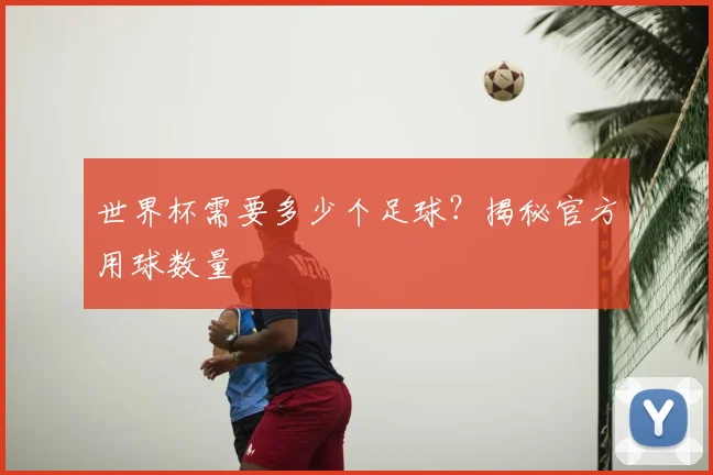 世界杯需要多少个足球?揭秘官方用球数量