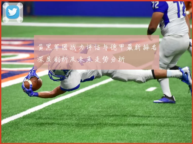 黄黑军团战力评估与德甲最新排名深度剖析及未来走势分析