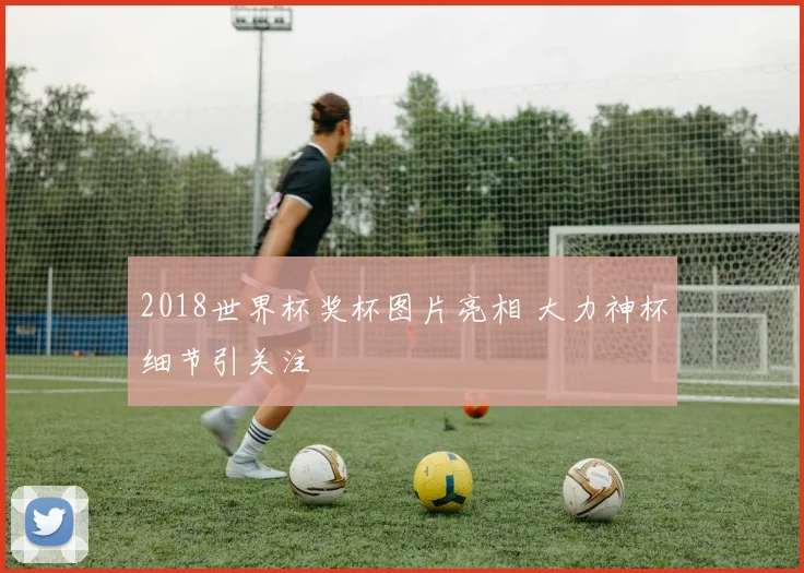 2018世界杯奖杯图片亮相 大力神杯细节引关注