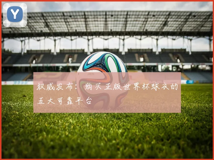 权威发布:购买正版世界杯球衣的五大可靠平台