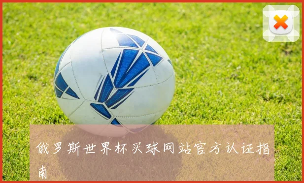 俄罗斯世界杯买球网站官方认证指南