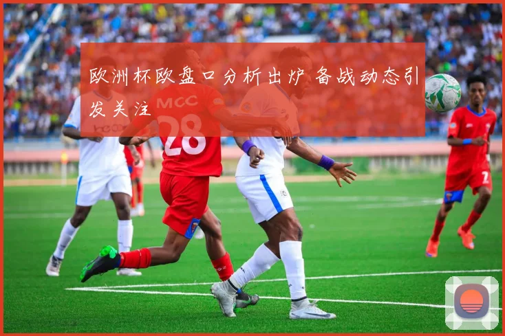 欧洲杯欧盘口分析出炉 备战动态引发关注