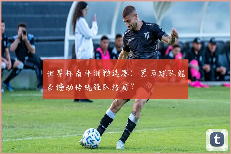 世界杯南非洲预选赛：黑马球队能否撼动传统强队格局？