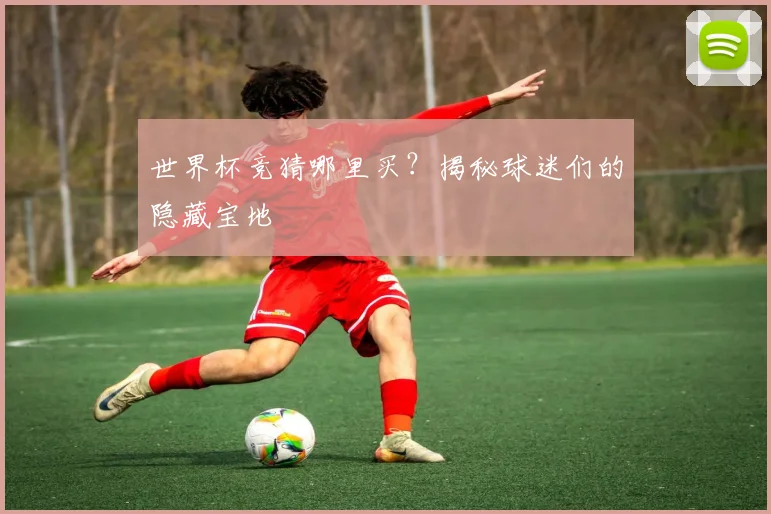 世界杯竞猜哪里买?揭秘球迷们的隐藏宝地