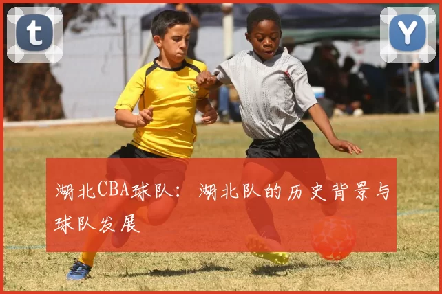 湖北CBA球队：湖北队的历史背景与球队发展