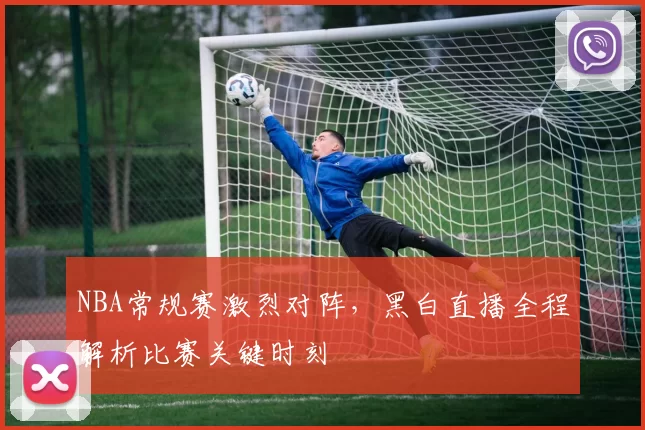 NBA常规赛激烈对阵，黑白直播全程解析比赛关键时刻