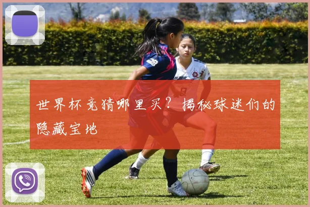 世界杯竞猜哪里买？揭秘球迷们的隐藏宝地