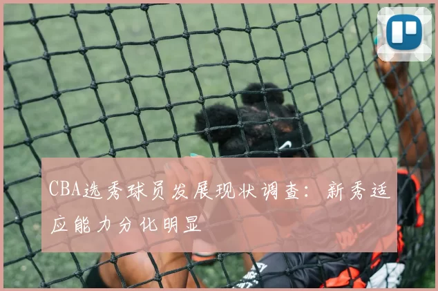 CBA选秀球员发展现状调查：新秀适应能力分化明显