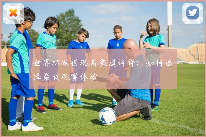世界杯电视观看渠道详评:如何选择最佳观赛体验