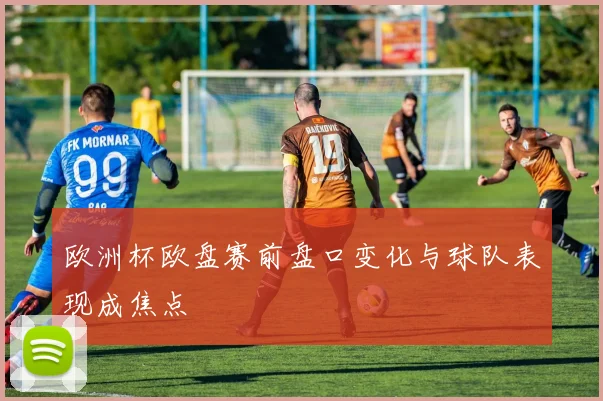 欧洲杯欧盘赛前盘口变化与球队表现成焦点