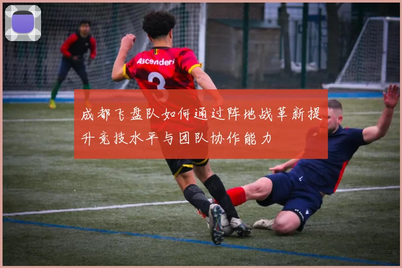 成都飞盘队如何通过阵地战革新提升竞技水平与团队协作能力