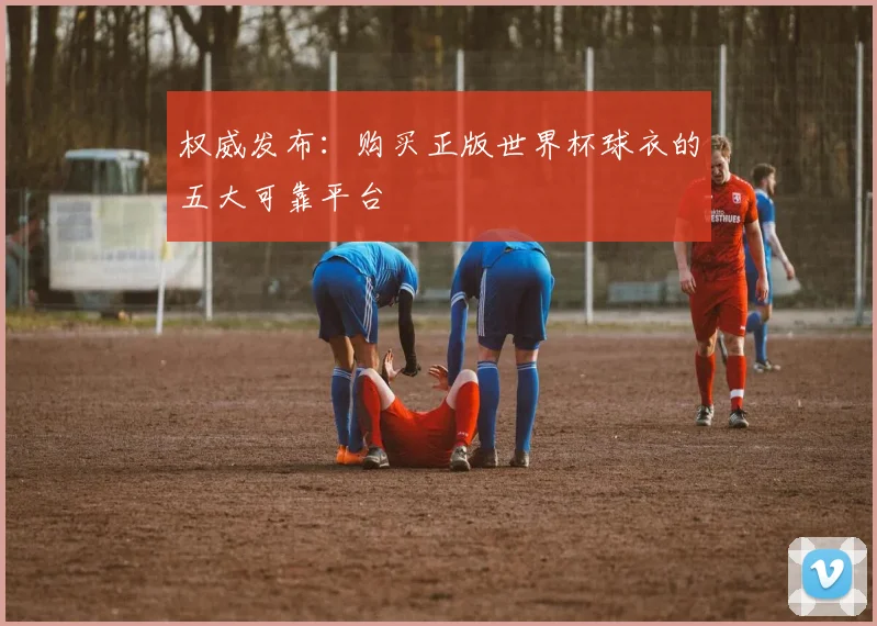 权威发布:购买正版世界杯球衣的五大可靠平台
