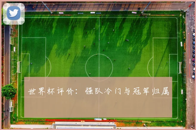 世界杯评价:强队冷门与冠军归属
