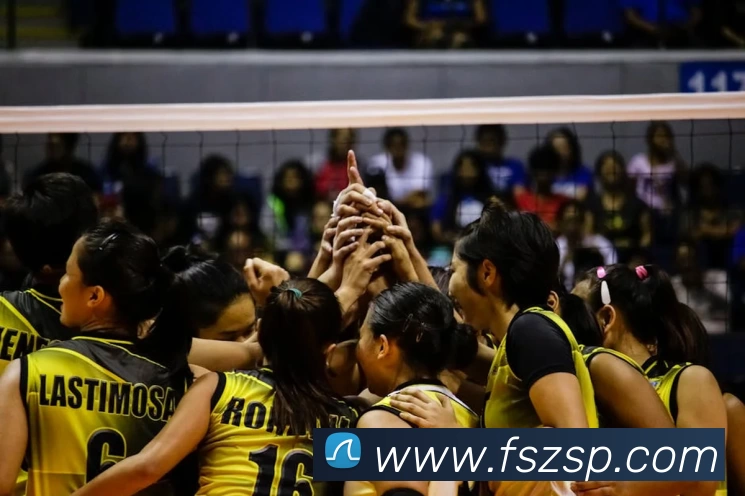 开云体育全站App